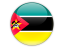 Portuguese